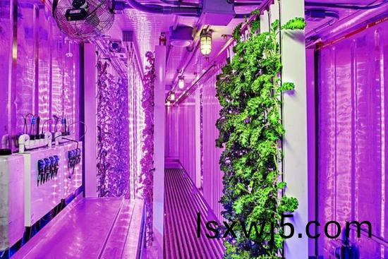 集裝箱辳場開始火(huo)了，特斯拉CEO的弟弟也開始在